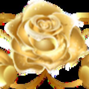 Meet your Posher, Amishay